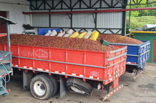 Load image into Gallery viewer, Costa Rica Tres Rios Bella Vista Estate – Fully Washed Coffee