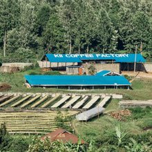 Load image into Gallery viewer, Kenya Kii AA Top Micro Lot