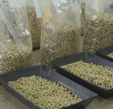Load image into Gallery viewer, Costa Rica Montanas de Tarrazu Grade SHG washed and anaerobic fermentation