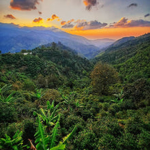 Load image into Gallery viewer, Overlooking Jamiaca Blue Mountain range