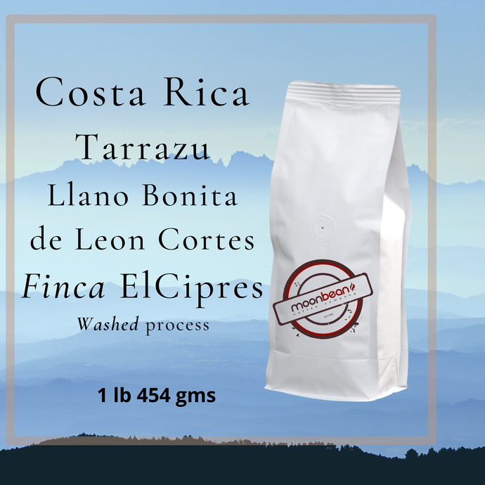  one pound bags coffee bean costa rica tarrazu el cipres washed