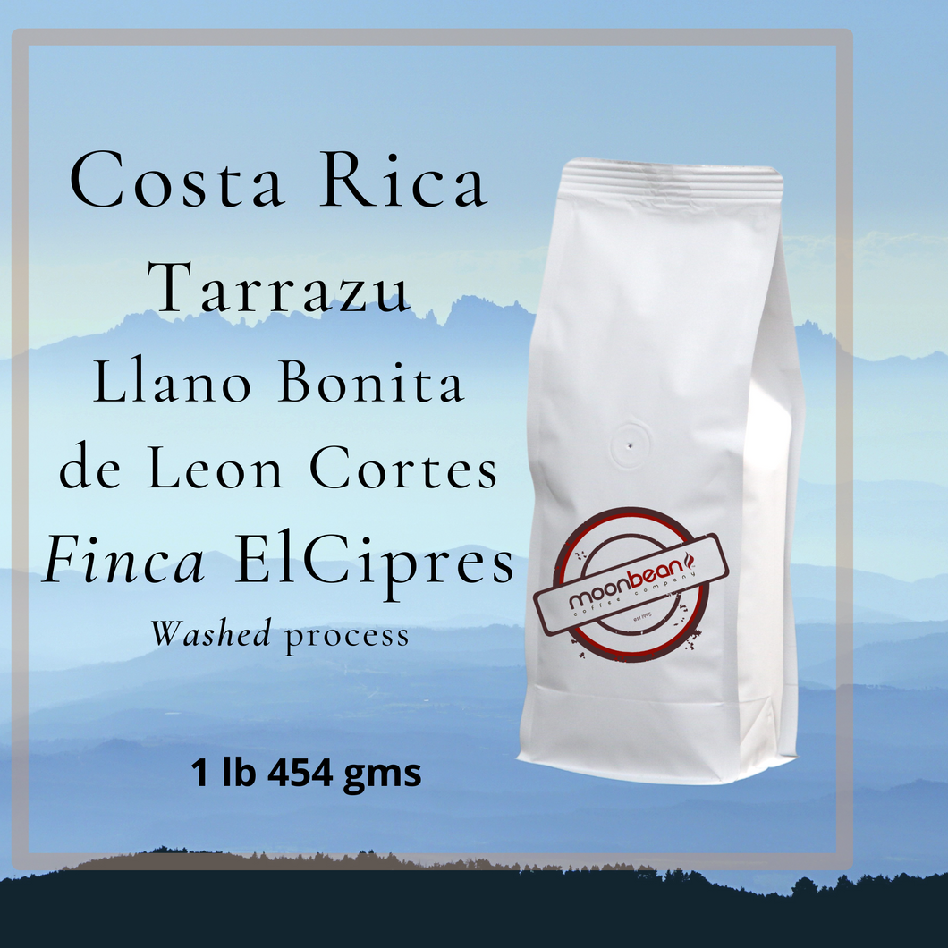  one pound bags coffee bean costa rica tarrazu el cipres washed