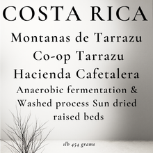 Load image into Gallery viewer, Costa Rica Montanas de Tarrazu Grade SHG washed and anaerobic fermentation
