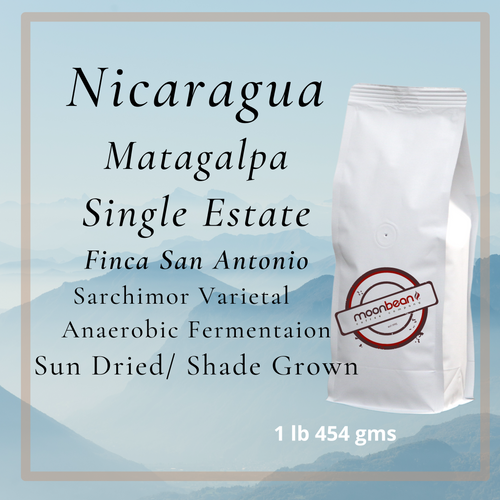 nicaragua anaerobic fermentation finca san antonio