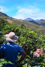 Load image into Gallery viewer, coffee farm costa rica tarrazu el cipres
