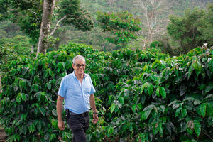  Nicaragua Matagalpa coffee trees