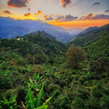 Load image into Gallery viewer, Overlooking Jamiaca Blue Mountain range
