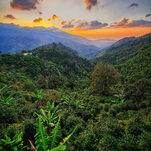 Overlooking Jamiaca Blue Mountain range